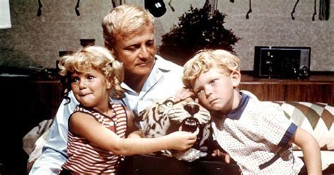 family affair sitcom|brian keith in family affair.